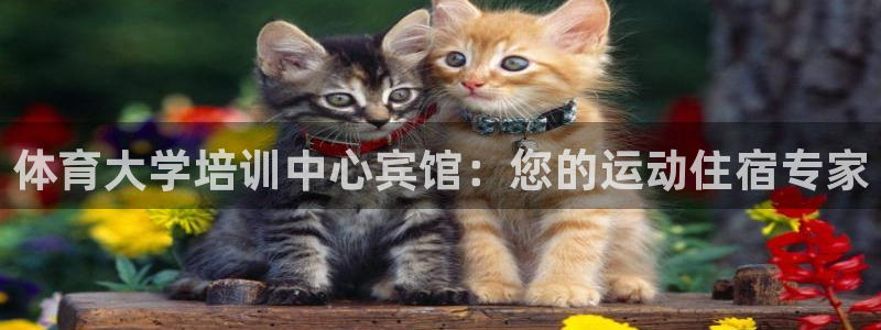 富联商标：体育大学培训中心宾馆：您的运动住宿专家