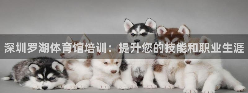 富联娱乐会员有什么用：深圳罗湖体育馆培训：提升您的技