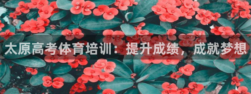 富联平台系 5O6917 富联：太原高考体育培训：提