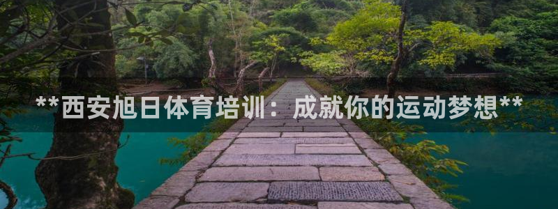富联金融：**西安旭日体育培训：成就你的运动梦想**