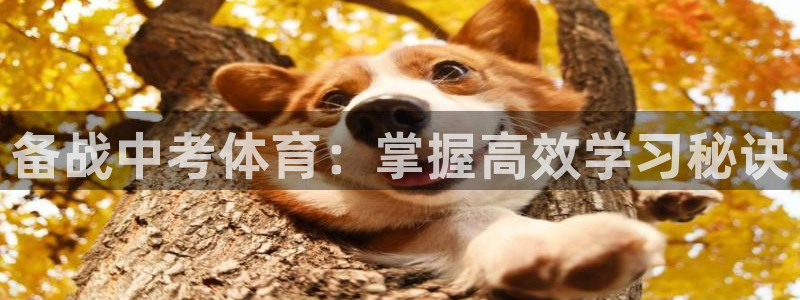 富联平台合 58534I 平台：备战中考体育：掌握高