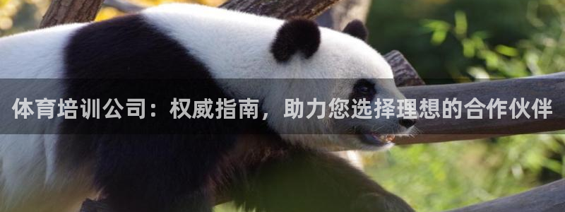 富联官网授权：体育培训公司：权威指南，助力您选择理想