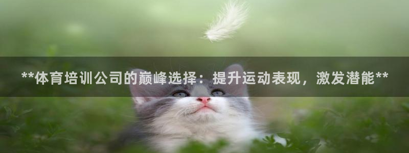 富联平台认可 585.34I 富联：**体育培训公司