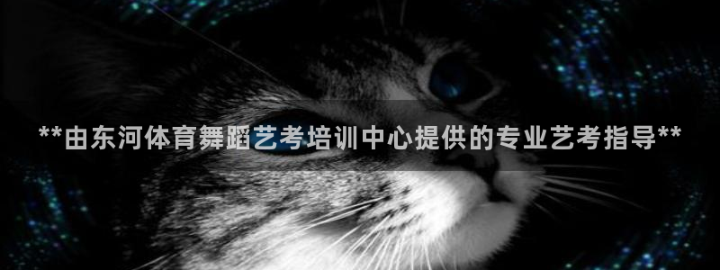富联平台官网登录不了：**由东河体育舞蹈艺考培训中心