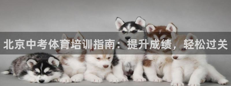 富联官网代理系列产品：北京中考体育培训指南：提升成绩