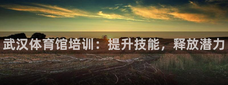 富联平台登录注册账号：武汉体育馆培训：提升技能，释放
