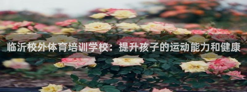 富联娱乐负责人名单：临沂校外体育培训学校：提升孩子的