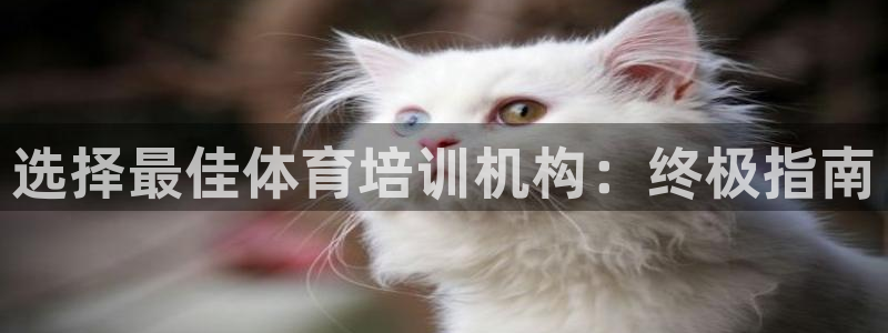 富联官方网站入口查询电话：选择最佳体育培训机构：终极
