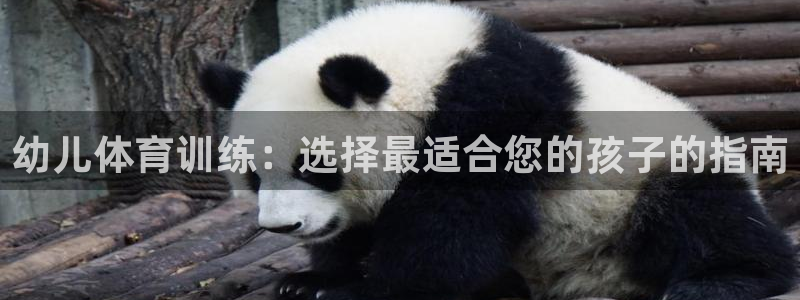 富联娱乐怎么样：幼儿体育训练：选择最适合您的孩子的指