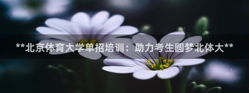 富联是什么股票板块：**北京体育大学单招培训：助力考