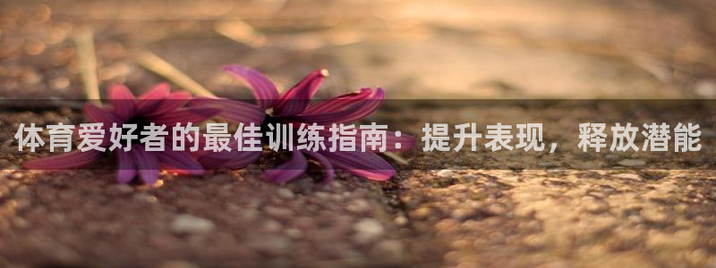 富联娱乐老板是哪里人：体育爱好者的最佳训练指南：提升