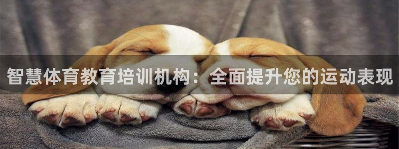 富联娱乐登陆：智慧体育教育培训机构：全面提升您的运动