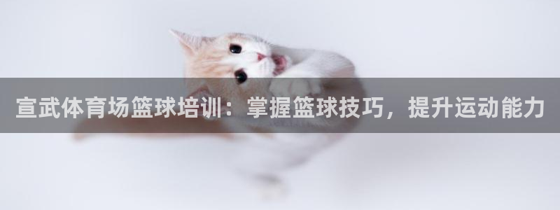 富联平台招商电话：宣武体育场篮球培训：掌握篮球技巧，