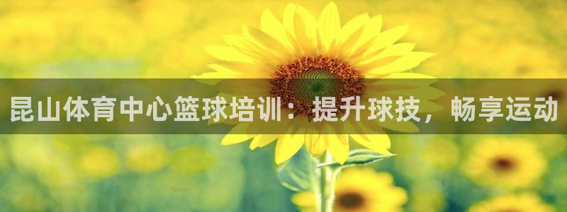 富联官网注册不了账号怎么回事：昆山体育中心篮球培训：