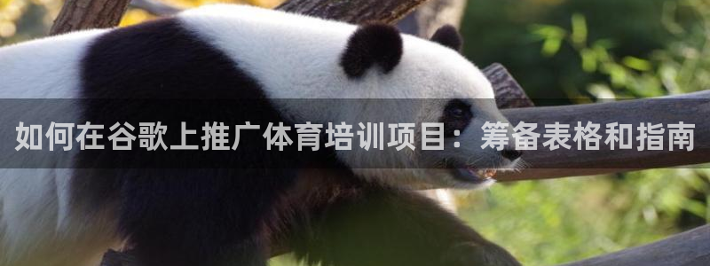 富联平台用户登陆不上：如何在谷歌上推广体育培训项目：