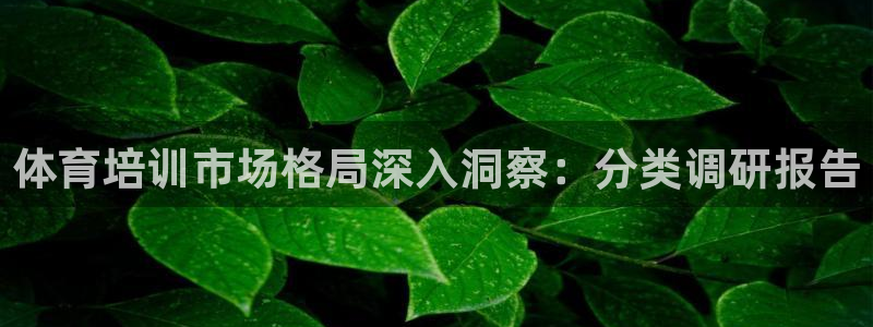 富联通讯招聘：体育培训市场格局深入洞察：分类调研报告
