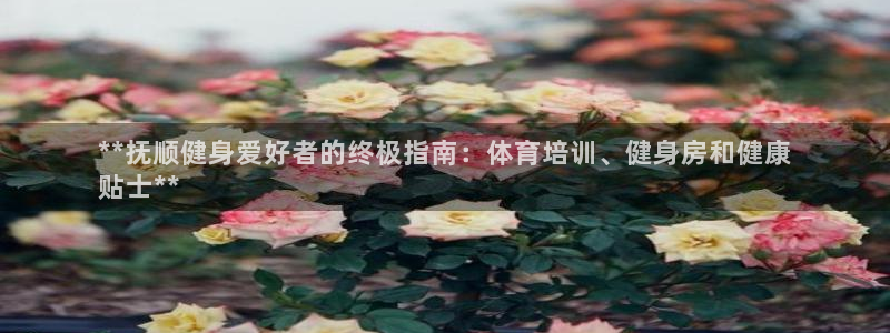 富联娱乐测速登录：**抚顺健身爱好者的终极指南：体育