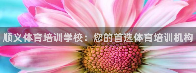 深圳富联智能制造产业创新中心：顺义体育培训学校：您的