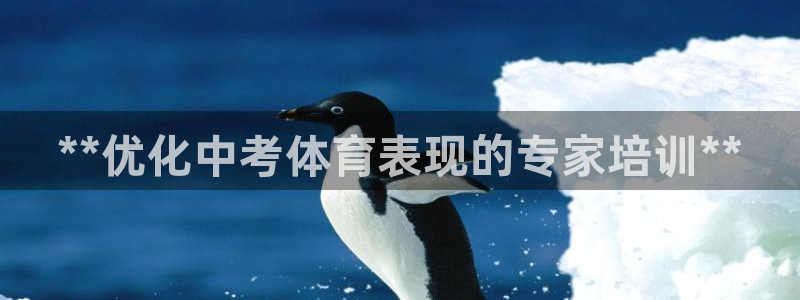 富联娱乐平台开户条件要求：**优化中考体育表现的专家