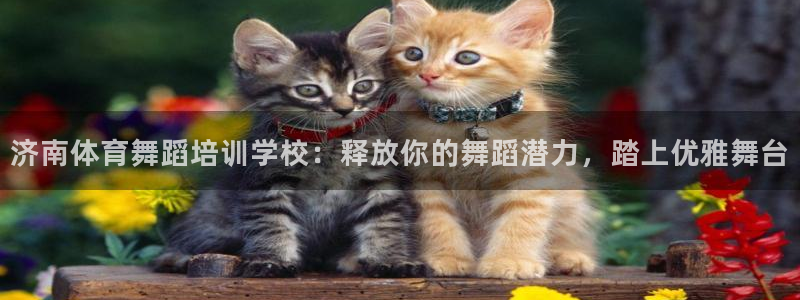 富联娱乐平台开户：济南体育舞蹈培训学校：释放你的舞蹈