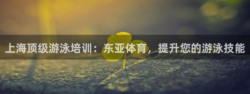 富联地产怎么样：上海顶级游泳培训：东亚体育，提升您的