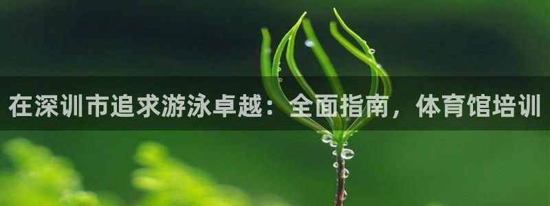 江西富联地产：在深训市追求游泳卓越：全面指南，体育馆