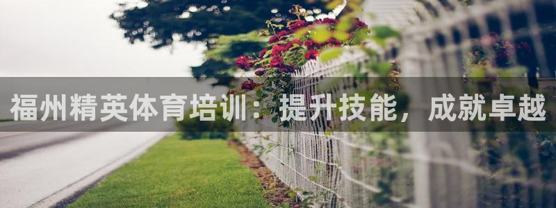 富联股份股票怎么样：福州精英体育培训：提升技能，成就