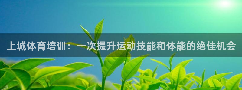 香港富联集团：上城体育培训：一次提升运动技能和体能的
