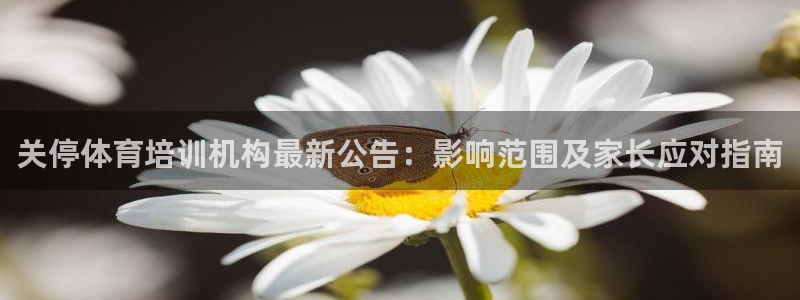 富联平台登录注册：关停体育培训机构最新公告：影响范围