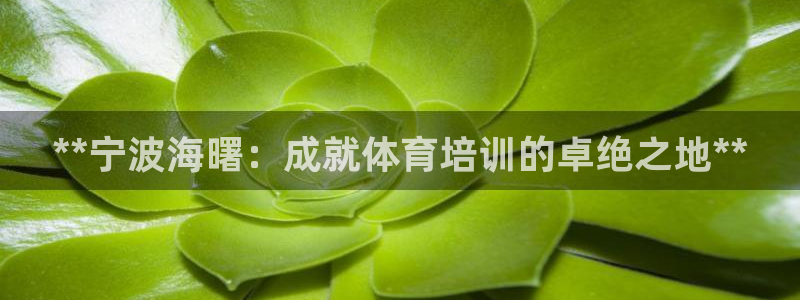 富联平台官网首页：**宁波海曙：成就体育培训的卓绝之