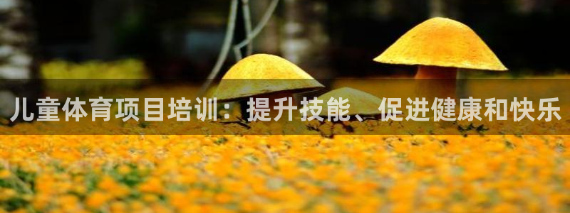 富联平台搜索 585.34I 平台：儿童体育项目培训