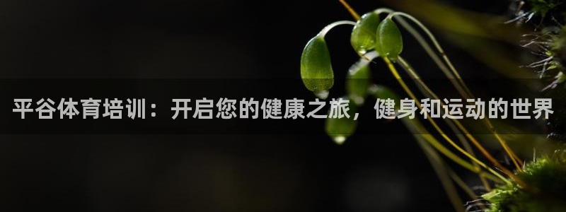 富联平台微信怎么提现：平谷体育培训：开启您的健康之旅