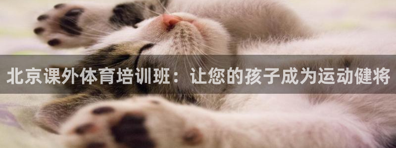 富联娱乐心 585341 娱乐：北京课外体育培训班：