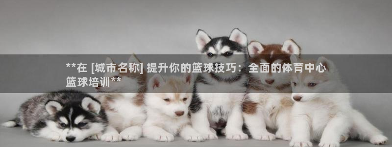 富联平台总代理电话：**在 [城市名称] 提升你的篮