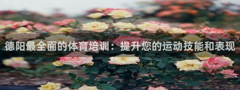 富联平台地址是什么：德阳最全面的体育培训：提升您的运