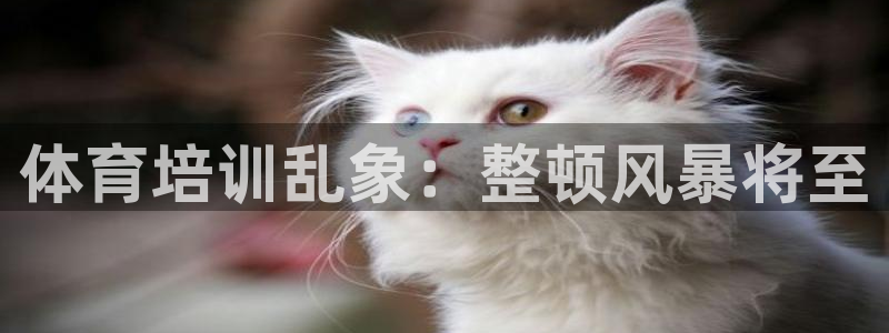 富联官网登录网址：体育培训乱象：整顿风暴将至