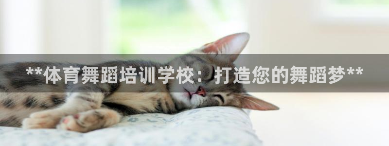 富联平台开户：**体育舞蹈培训学校：打造您的舞蹈梦*