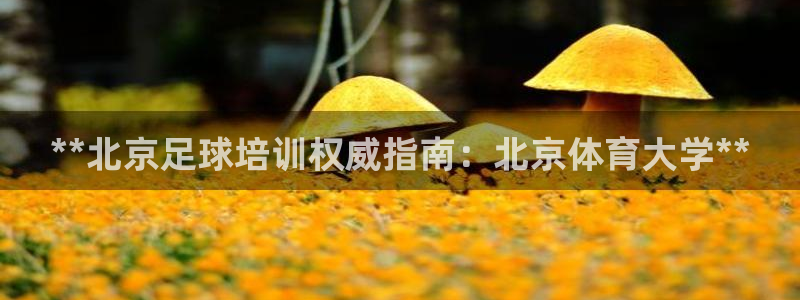 富联娱乐玩法机制：**北京足球培训权威指南：北京体育