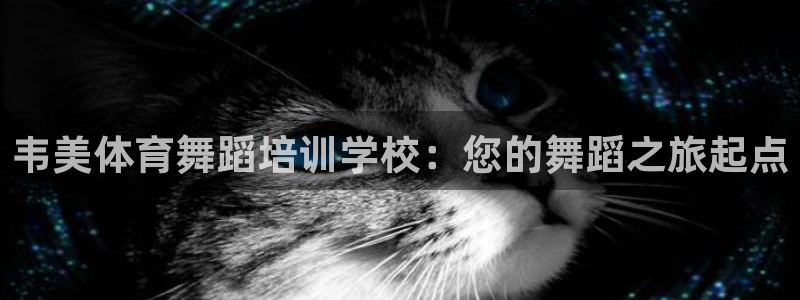 富联平台招商电话：韦美体育舞蹈培训学校：您的舞蹈之旅