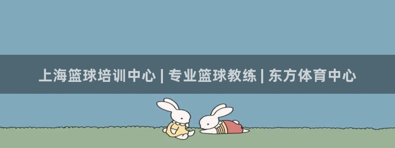 富联娱乐是骗局吗：上海篮球培训中心 | 专业篮球教练