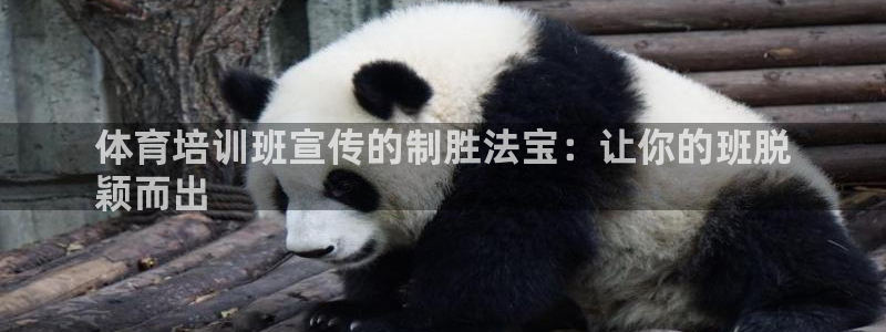 富联官方网站下载app：体育培训班宣传的制胜法宝：让
