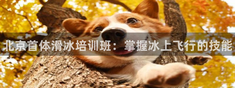 富联平台木 5o69I7：北京首体滑冰培训班：掌握冰上飞行的