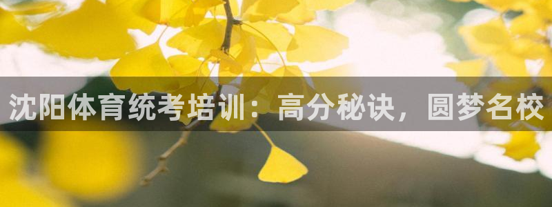 富联平台布7O777：沈阳体育统考培训：高分秘诀，圆梦名校