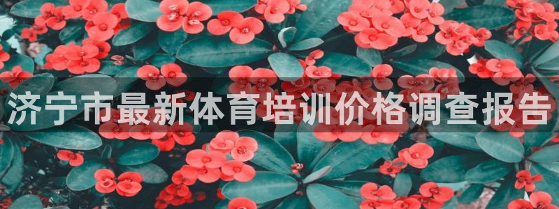 富联平台代理注册要钱吗：济宁市最新体育培训价格调查报告