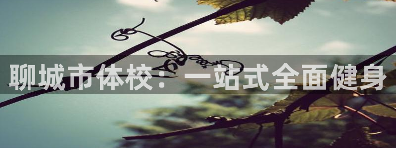 富联娱乐是资金盘吗：聊城市体校：一站式全面健身