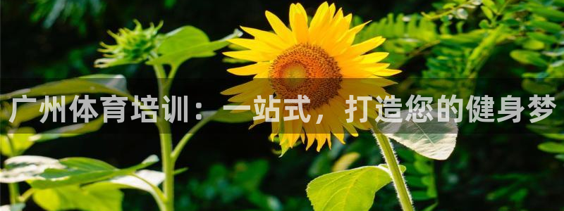 富联娱乐木 411O31 娱乐：广州体育培训：一站式