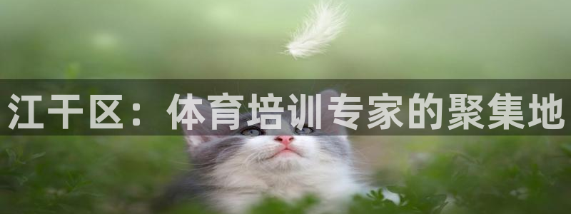 富联科技上市了吗：江干区：体育培训专家的聚集地