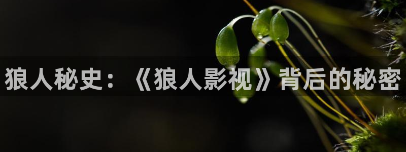 真不卡影视电视剧免费观看全集