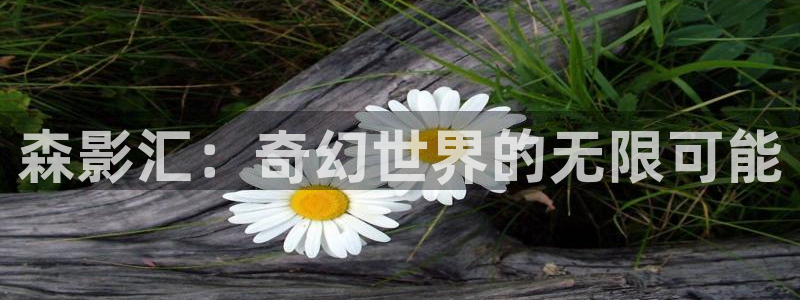 真不卡影视app