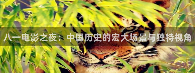 真不卡影院在线观看